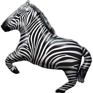 Zebra - 70 cm